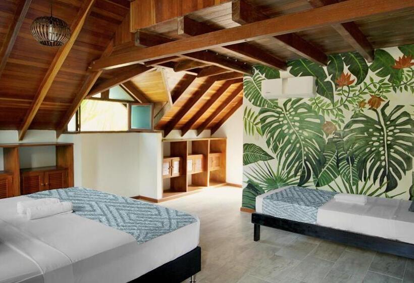 Общежитие Tay Beach Hotel Tayrona