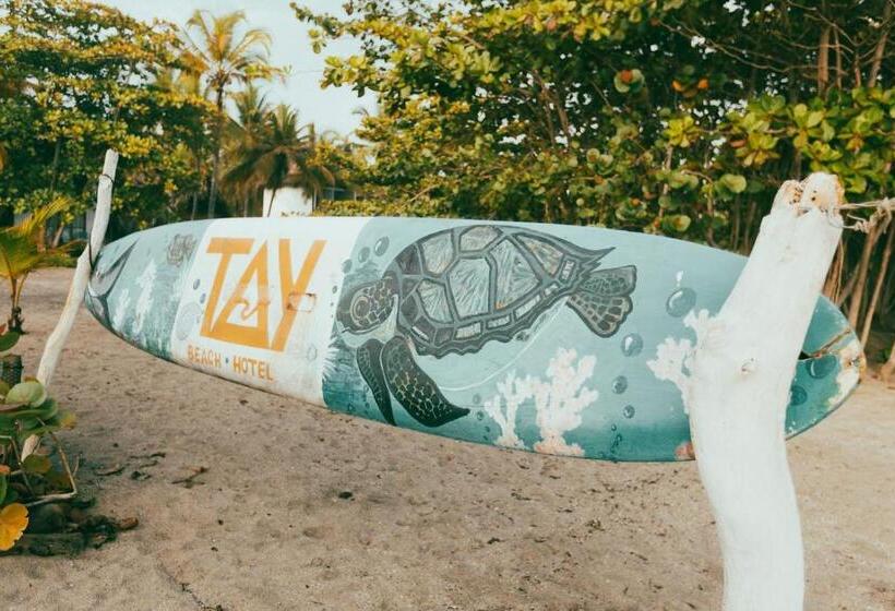 Общежитие Tay Beach Hotel Tayrona