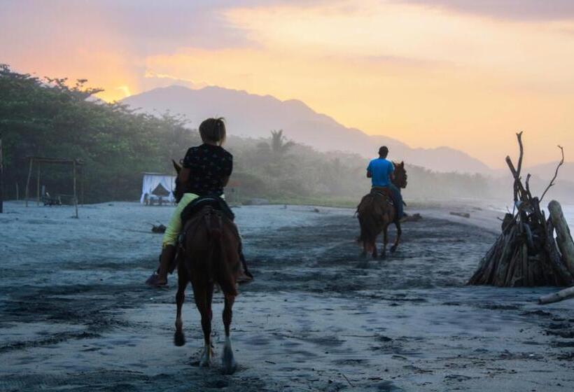Общежитие Tay Beach Hotel Tayrona