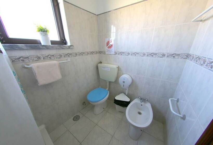 Another Surf Camp Baleal Hostel