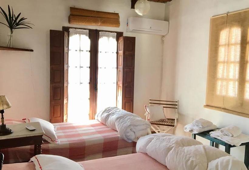 Bed & Breakfast Casa De Las Palmeras