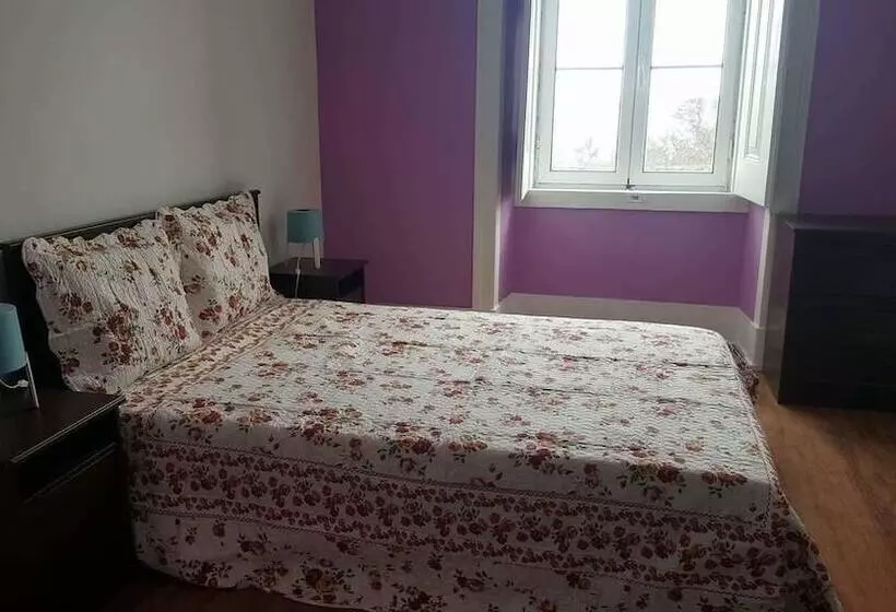 Cenario Catita Hostel