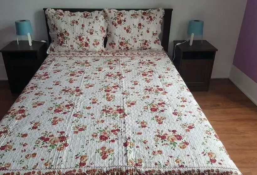 Cenario Catita Hostel