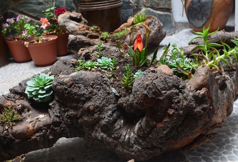 فندق Hostal Balcon De Piedras