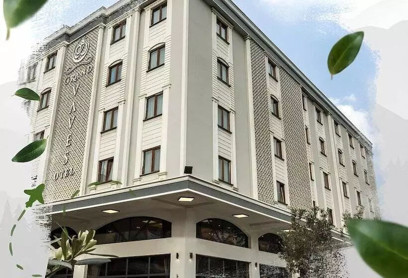 ホテル Grand Vaves