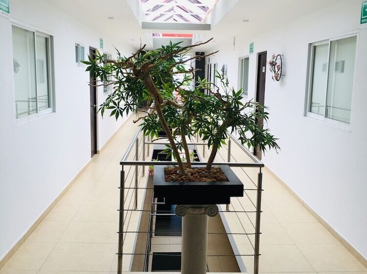 فندق Boutique Boca Veracruz