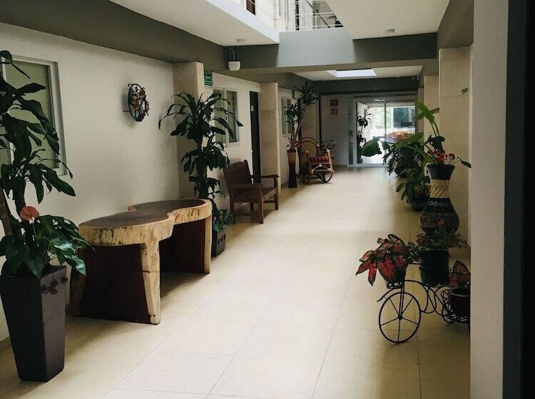 فندق Boutique Boca Veracruz