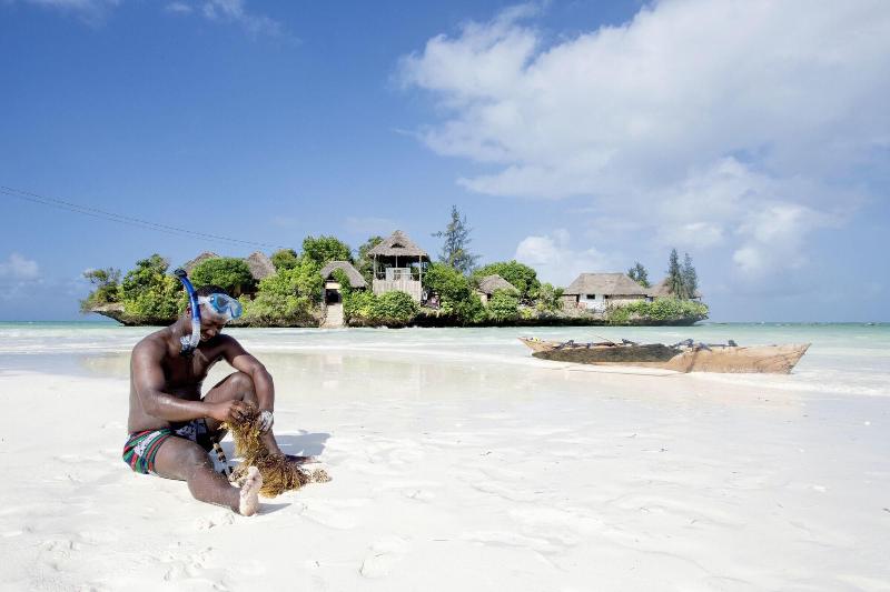 בית מלון כפרי The Island Pongwe Lodge