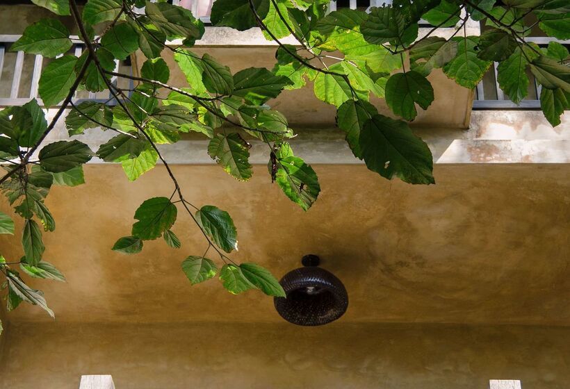 渡假胜地  Melia Bavi Mountain Retreat