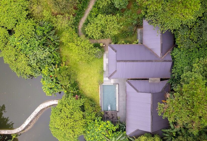 渡假胜地  Melia Bavi Mountain Retreat