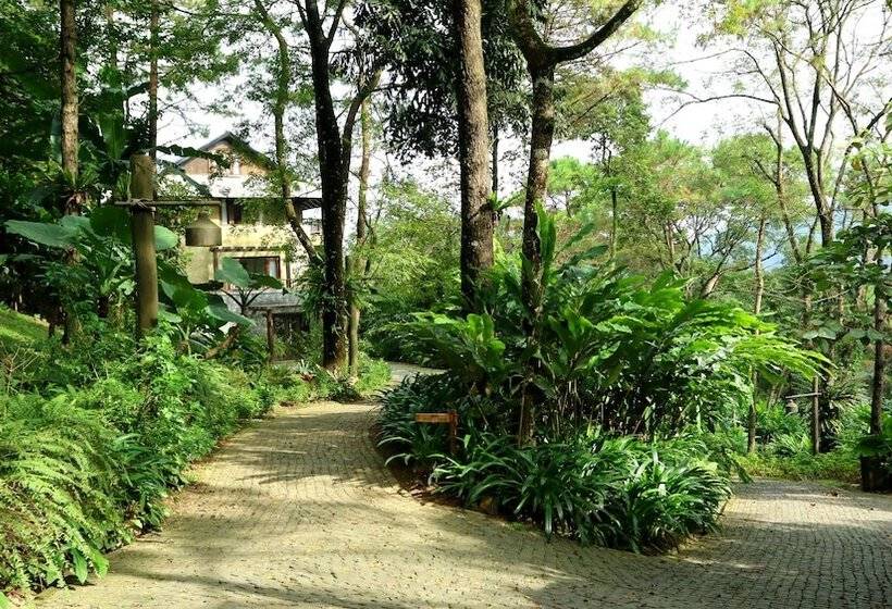 渡假胜地  Melia Bavi Mountain Retreat