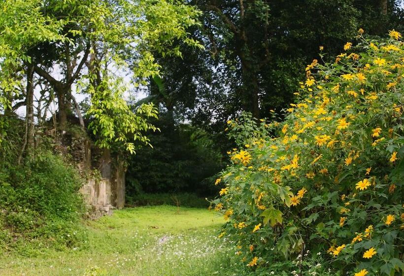 渡假胜地  Melia Bavi Mountain Retreat