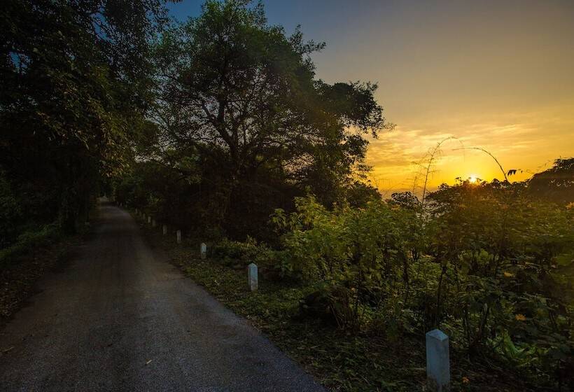 渡假胜地  Melia Bavi Mountain Retreat