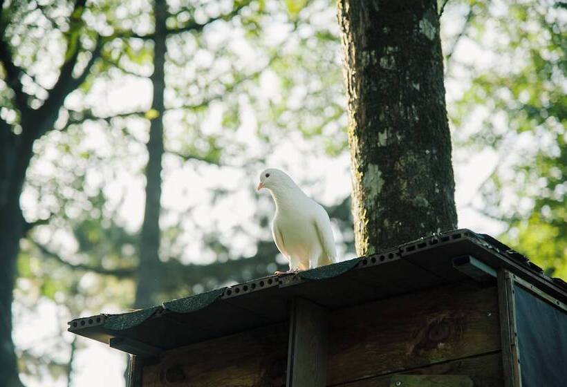 渡假胜地  Melia Bavi Mountain Retreat