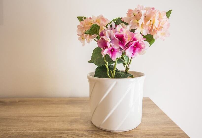 ユースホステル Central Guest House