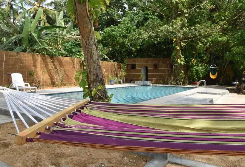 Aamiaismajoitus (B&B) Ocean Caves, Balapitiya