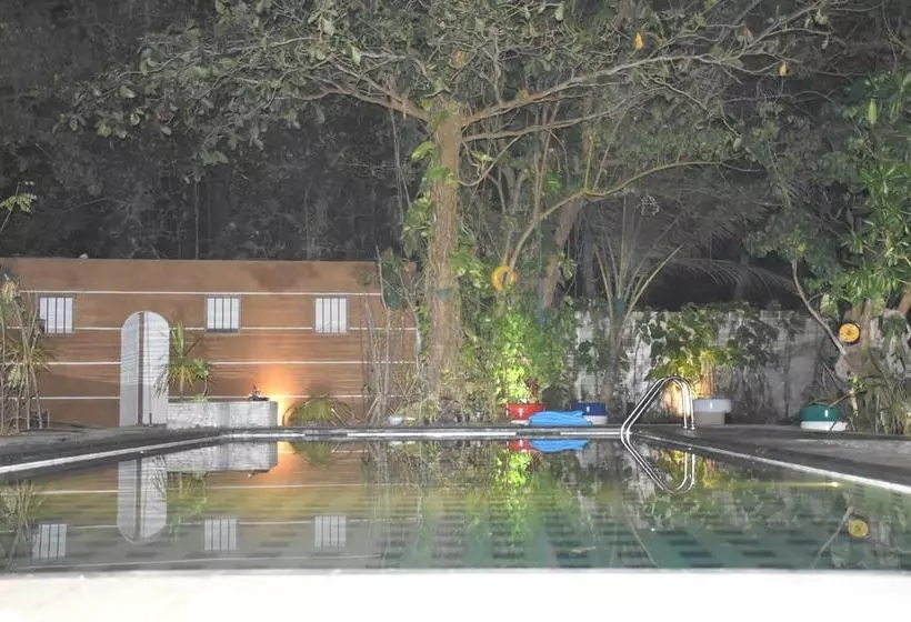 Aamiaismajoitus (B&B) Ocean Caves, Balapitiya