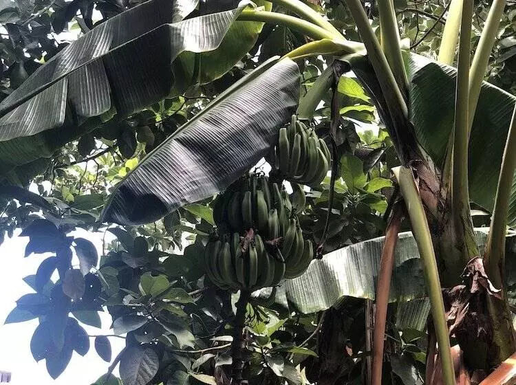 هتل Detente Du Cacique Villa