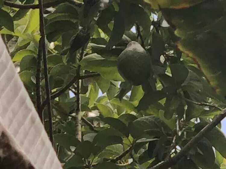 هتل Detente Du Cacique Villa