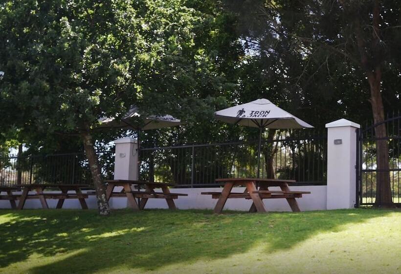 モーテル Bateau Bay