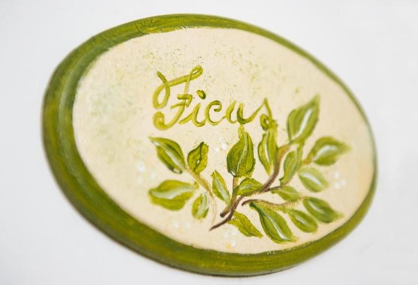 Bed and Breakfast Corte Dell'immacolata Al Mare