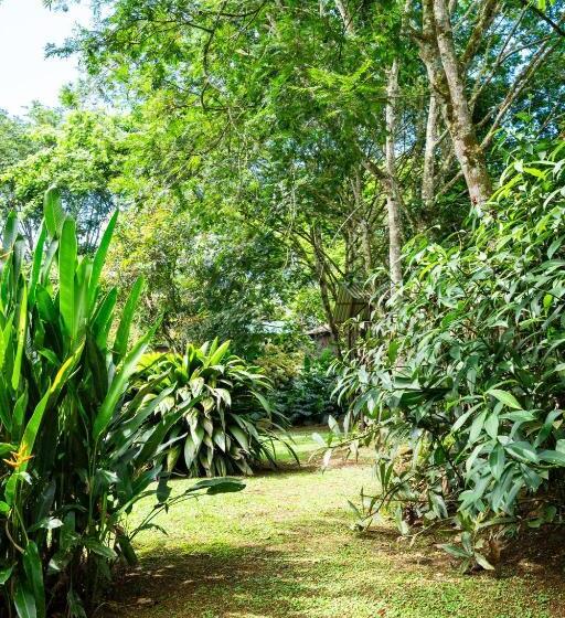 Bed and Breakfast Hospedaje La Naciente