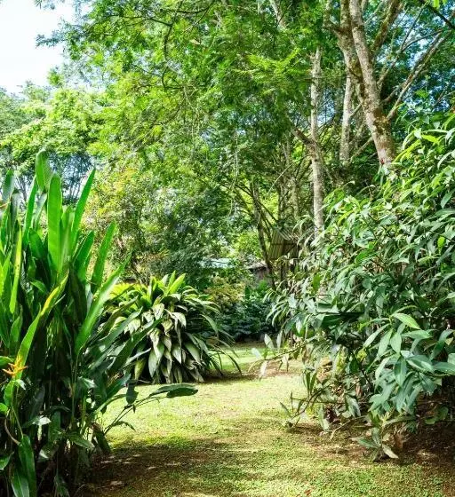 Aamiaismajoitus (B&B) Hospedaje La Naciente