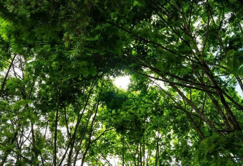 Aamiaismajoitus (B&B) Hospedaje La Naciente