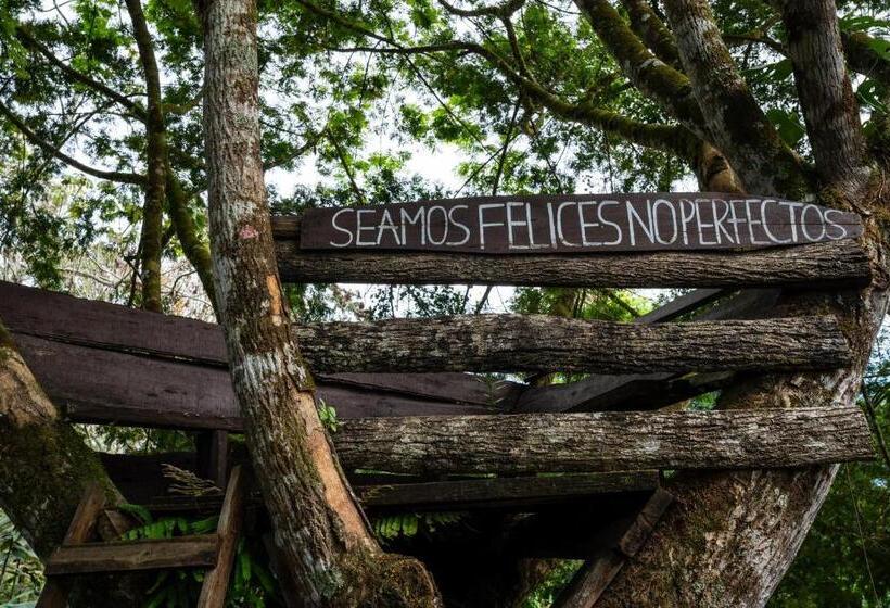 Bed and Breakfast Hospedaje La Naciente