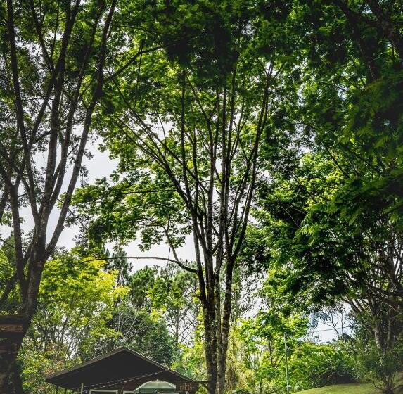 Bed and Breakfast Hospedaje La Naciente