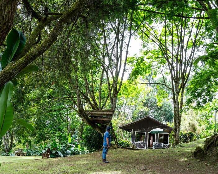Bed and Breakfast Hospedaje La Naciente