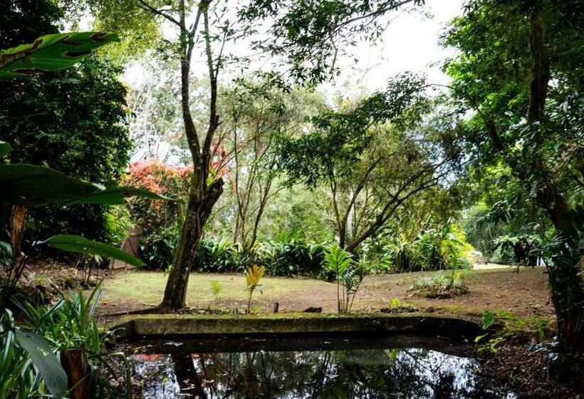 Bed and Breakfast Hospedaje La Naciente