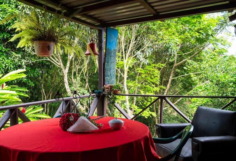 Bed and Breakfast Hospedaje La Naciente