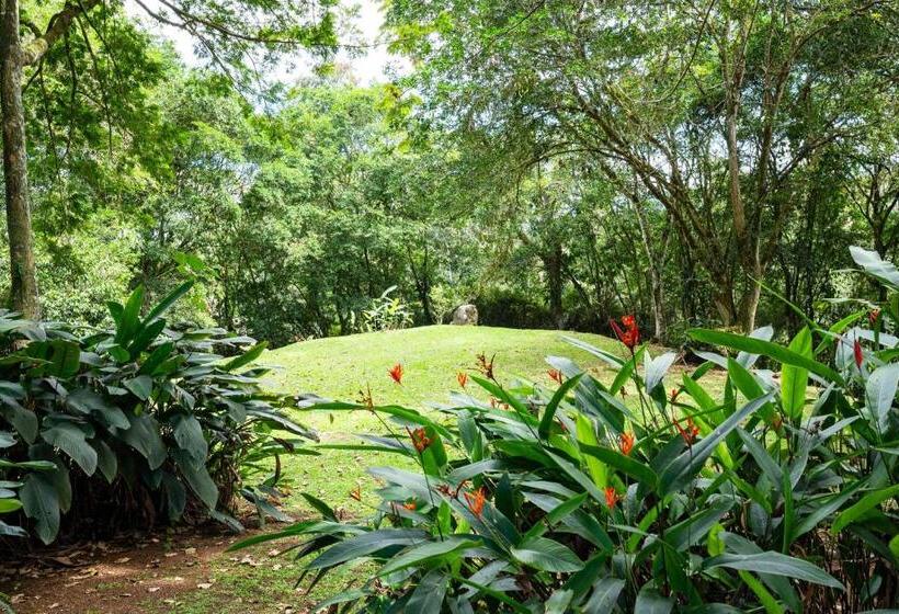 Bed and Breakfast Hospedaje La Naciente