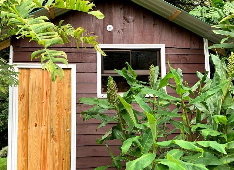 Bed and Breakfast Hospedaje La Naciente