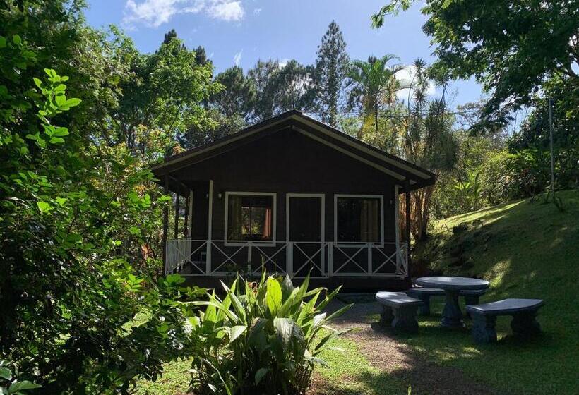 Bed and Breakfast Hospedaje La Naciente