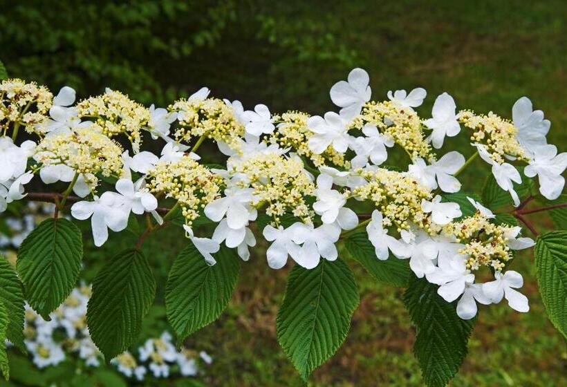 민박 Tepopo Gardens & Accommodation