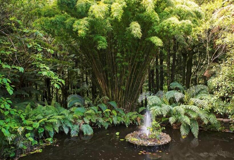 민박 Tepopo Gardens & Accommodation