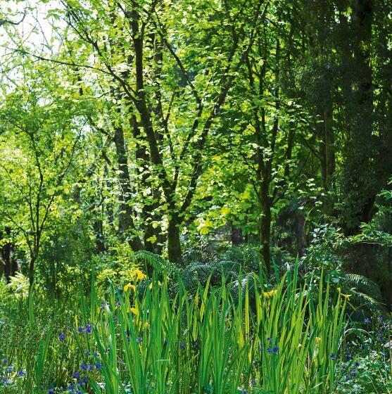 민박 Tepopo Gardens & Accommodation