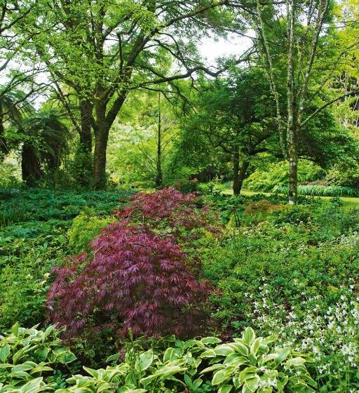 민박 Tepopo Gardens & Accommodation