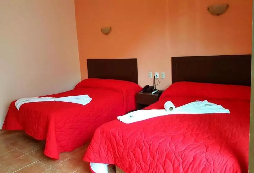 هتل Plaza Centro Historico