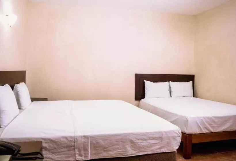 هتل Plaza Centro Historico