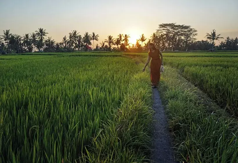 ホテル Bumi Kinar Heritage