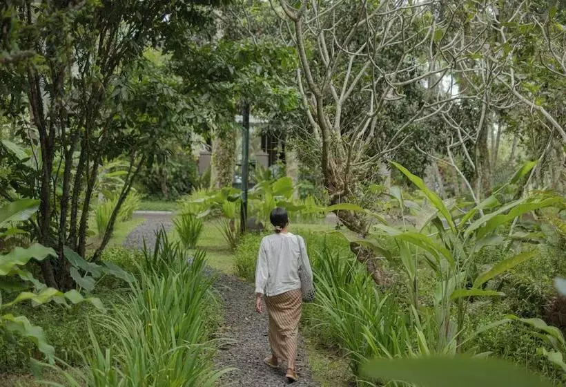 ホテル Bumi Kinar Heritage