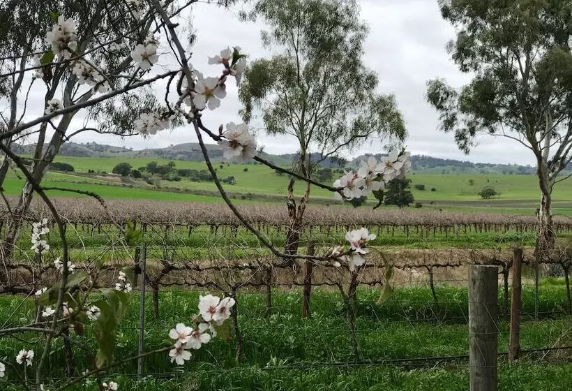 Aamiaismajoitus (B&B) Jasmine S Cottage