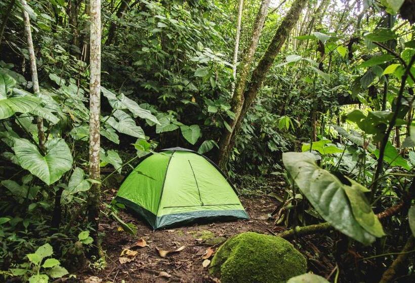 هتل Lodge Paraiso Verde