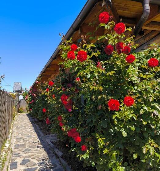 Отель último Paraíso