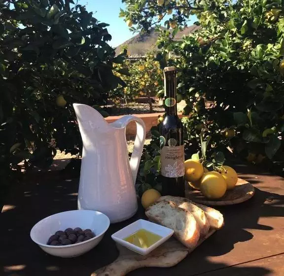 Hotelli Olive Hill Guest House