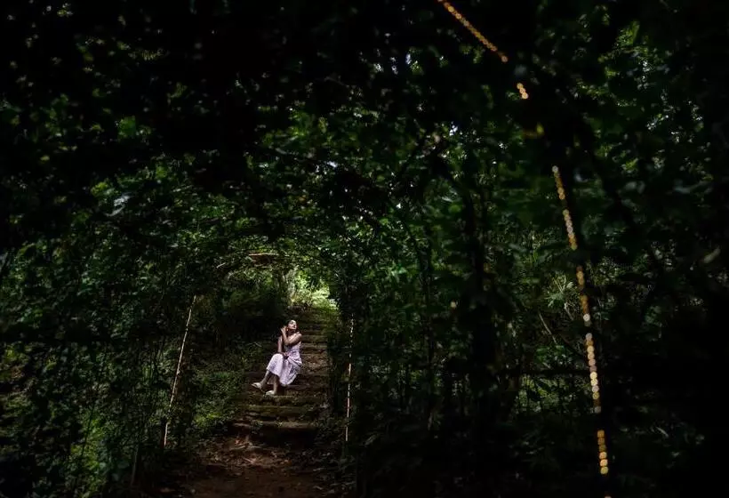 Raindrops Resorts Wayanad