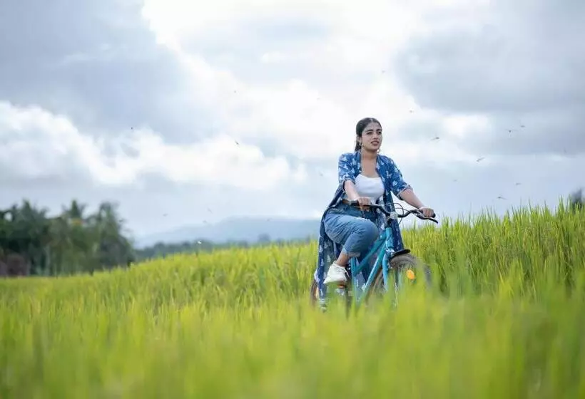 Raindrops Resorts Wayanad